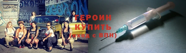 твердый Тайга