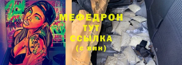 твердый Тайга